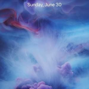 Meet your Posher, Shamar